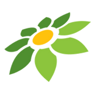 ICON INSTAGRAM VECTOR
